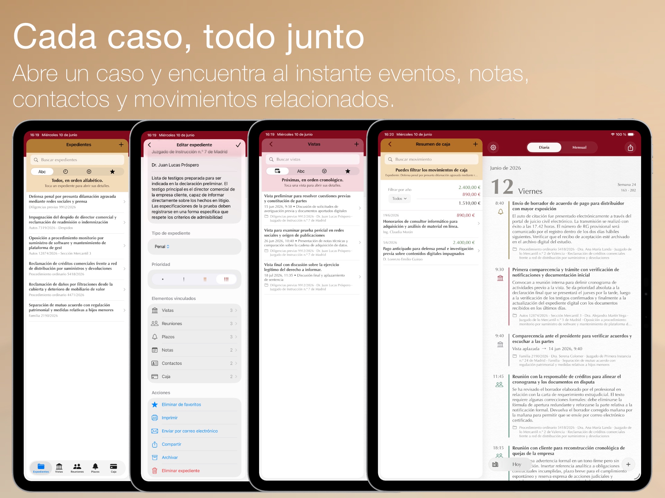 Counsel Planner — detalle de la interfaz