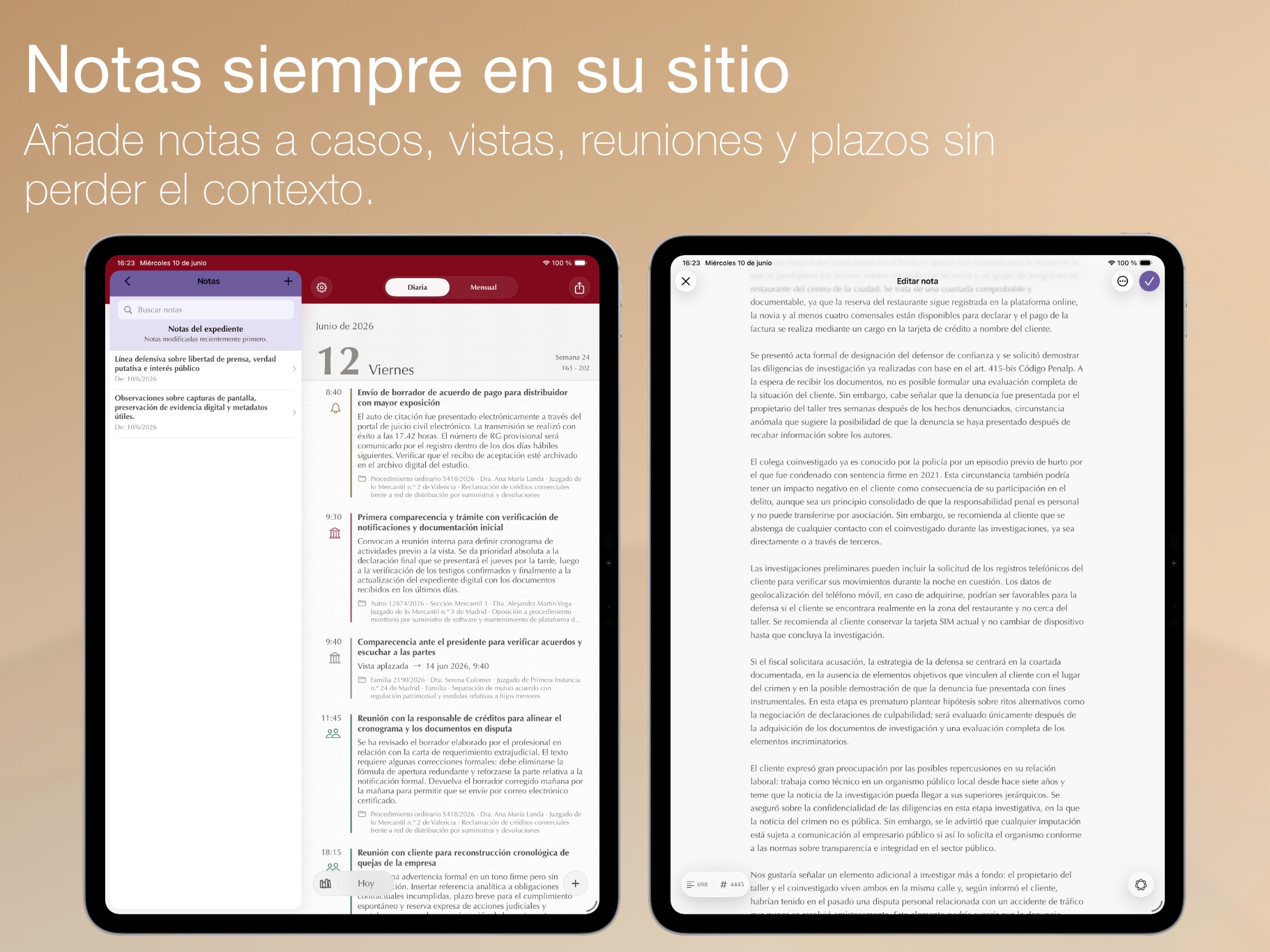Counsel Planner — detalle de la interfaz