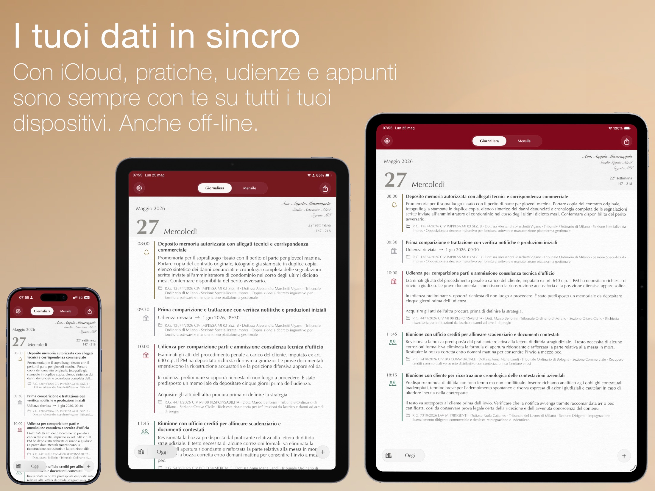 Agenda dell'Avvocato — dettaglio interfaccia