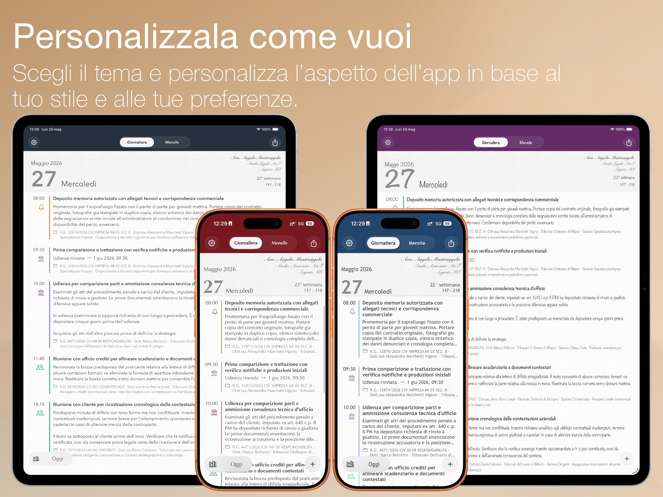 Agenda dell'Avvocato — dettaglio interfaccia